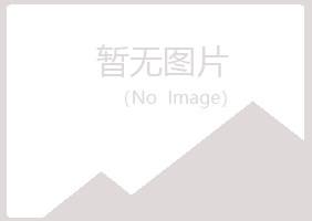 吉林夏槐音乐有限公司